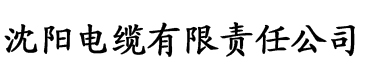 香蕉视频wwwxxx电缆厂logo